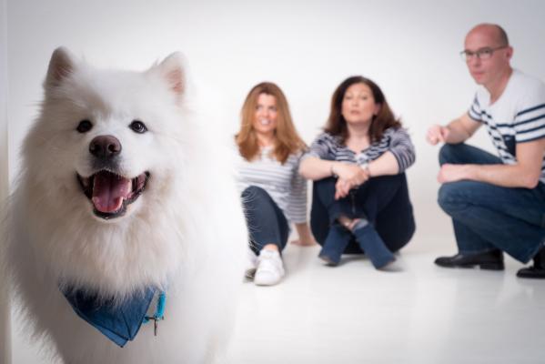 photographe animaux de compagnie paris 2